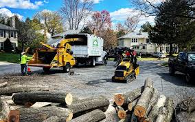 How Our Tree Care Process Works  in  Kimball, NE